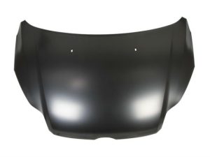 Capota motor BLIC 6803-00-2536280P – FORD | AutoRival