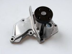 Pompa de apa MTR 12135599
