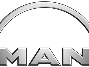 Filtru aditiv OE MAN 81154036161 – FORD | AutoRival