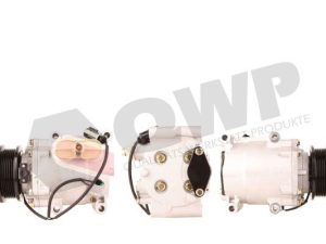 Compresor climatizare QWP WCP131R – FORD | AutoRival