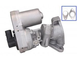 Supapa EGR QWP WEG161 – FORD | AutoRival
