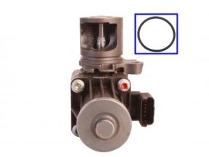 Supapa EGR QWP WEG179 – FORD | AutoRival