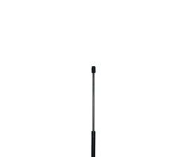 Amortizor portbagaj QWP WGS188 – FORD | AutoRival