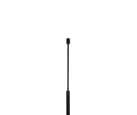 Amortizor portbagaj QWP WGS619 – FORD | AutoRival
