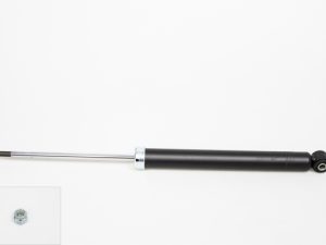 Amortizor QWP WSA181 – FORD | AutoRival