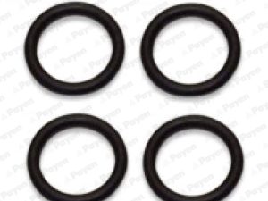 Set garnituri galerie admisie PAYEN HA5029 – FORD | AutoRival