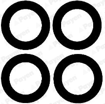 Set garnituri galerie admisie PAYEN HA5030 – FORD | AutoRival