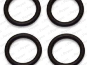 Set garnituri galerie admisie PAYEN HA5031 – FORD | AutoRival