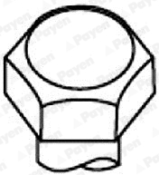 Set surub chiulasa PAYEN HBS007 – FORD | AutoRival