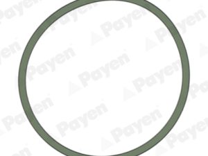 Garnitura galerie admisie PAYEN JD5228 – FORD | AutoRival