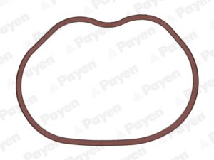 Garnitura galerie admisie PAYEN JD6166 – FORD | AutoRival
