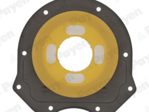 Simering arbore cotit PAYEN NA5030 – FORD | AutoRival