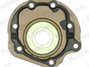 Simering arbore cotit PAYEN NC086 – FORD | AutoRival