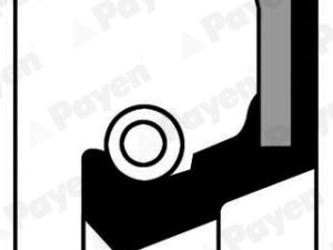 Simering arbore cotit PAYEN NF387 – FORD | AutoRival