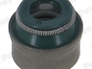 Etansare supape PAYEN PA6133 – FORD | AutoRival