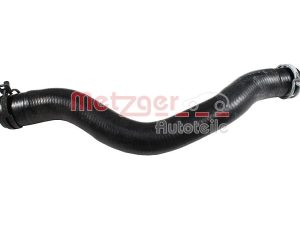 Furtun radiator METZGER 2421570 – FORD | AutoRival