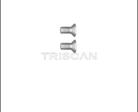 Set surub disc frana TRISCAN 8105 116011 – FORD | AutoRival