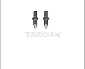 Set surub disc frana TRISCAN 8105 116015 – FORD | AutoRival