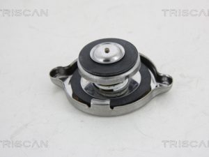 Buson radiator TRISCAN 8610 2 – FORD | AutoRival