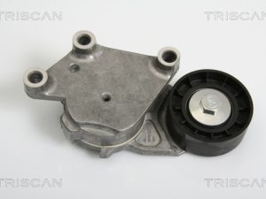 Intinzator curea distributie TRISCAN 8641 103014 – FORD | AutoRival