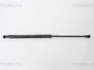 Amortizor capota TRISCAN 8710 10100 – FORD | AutoRival