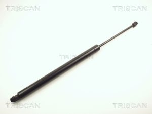 Amortizor portbagaj TRISCAN 8710 10200 – FORD | AutoRival
