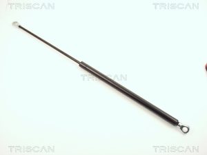 Amortizor portbagaj TRISCAN 8710 1601 – FORD | AutoRival