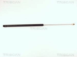 Amortizor portbagaj TRISCAN 8710 16213 – FORD | AutoRival
