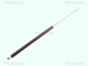 Amortizor portbagaj TRISCAN 8710 16217 – FORD | AutoRival
