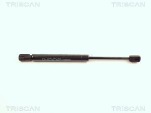Amortizor portbagaj TRISCAN 8710 16227 – FORD | AutoRival