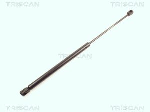 Amortizor portbagaj TRISCAN 8710 16230 – FORD | AutoRival