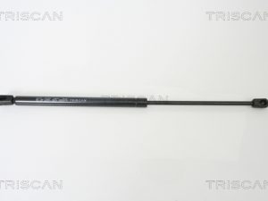 Amortizor portbagaj TRISCAN 8710 16239 – FORD | AutoRival