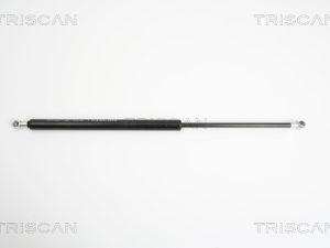 Amortizor portbagaj TRISCAN 8710 16241 – FORD | AutoRival