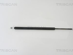 Amortizor portbagaj TRISCAN 8710 16242 – FORD | AutoRival