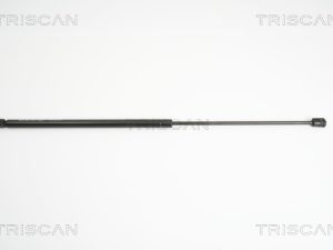 Amortizor portbagaj TRISCAN 8710 16243 – FORD | AutoRival