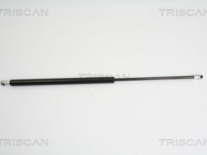 Amortizor portbagaj TRISCAN 8710 16246 – FORD | AutoRival
