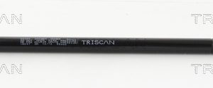 Amortizor portbagaj TRISCAN 8710 16257 – FORD | AutoRival