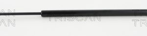 Amortizor portbagaj TRISCAN 8710 16266 – FORD | AutoRival