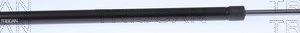 Amortizor portbagaj TRISCAN 8710 16279 – FORD | AutoRival