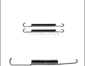 Pachet arc cu foi TRISCAN 8765 16057 – FORD | AutoRival