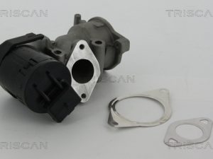Supapa EGR TRISCAN 8813 10001 – FORD | AutoRival