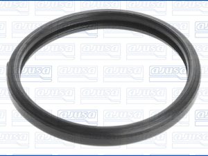 Garnitura termostat AJUSA 00520000 – FORD | AutoRival
