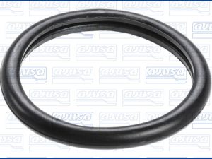 Garnitura termostat AJUSA 00538100 – FORD | AutoRival