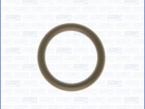 Garnitura galerie admisie AJUSA 16056800 – FORD | AutoRival