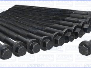 Set surub chiulasa AJUSA 81019800 – FORD | AutoRival