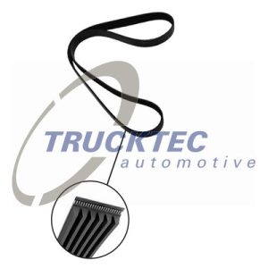 Curea transmisie cu caneluri HONDA CIVIC V Hatchback (EG) 1.3 16V (EG3) benzina 75 cai TRUCKTEC AUTOMOTIVE 08.19.072