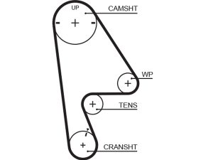 Curea de distributie HONDA CIVIC V Hatchback (EG) 1.5 i 16V (EG4) benzina 90 cai GATES 5409XS