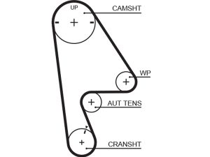 Curea de distributie HONDA CIVIC VI cupe (EJ, EM1) 1.6 (EJ6) benzina 107 cai GATES 5410XS