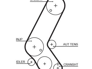 Curea de distributie HONDA CIVIC VII Hatchback (EU, EP, EV) 1.7 CTDi (EP4, EU9) diesel 100 cai GATES 5595XS