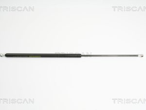 Amortizor portbagaj HONDA CIVIC VIII Hatchback (FN, FK) 1.4 (FK1) benzina 83 cai TRISCAN 8710 40230